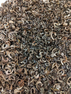 Calendula Seeds